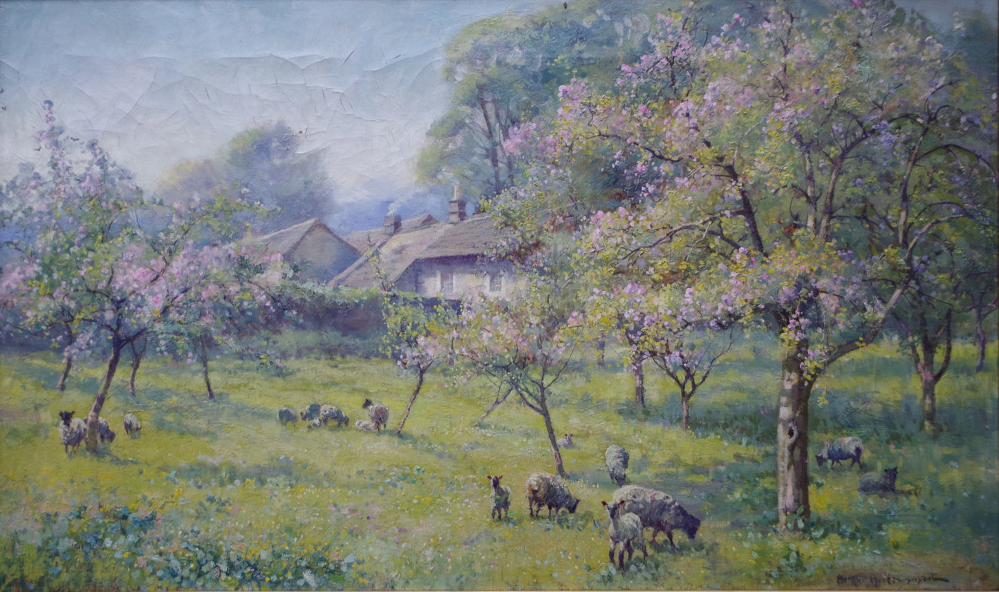 Middleton Dale 1908