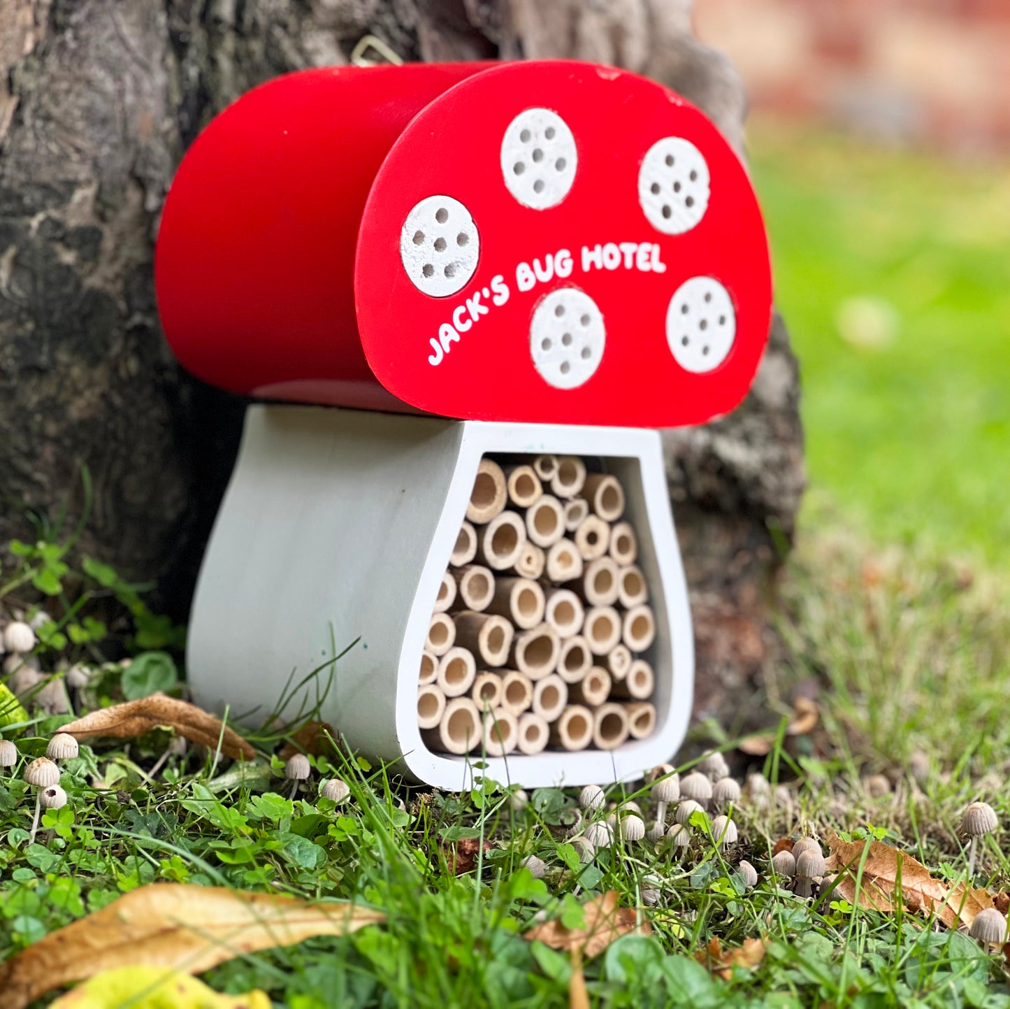 Toadstool Mushroom Personalised Bug House