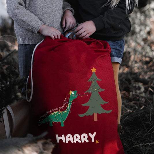 Personalised Dinosaur Scene Santa Sack