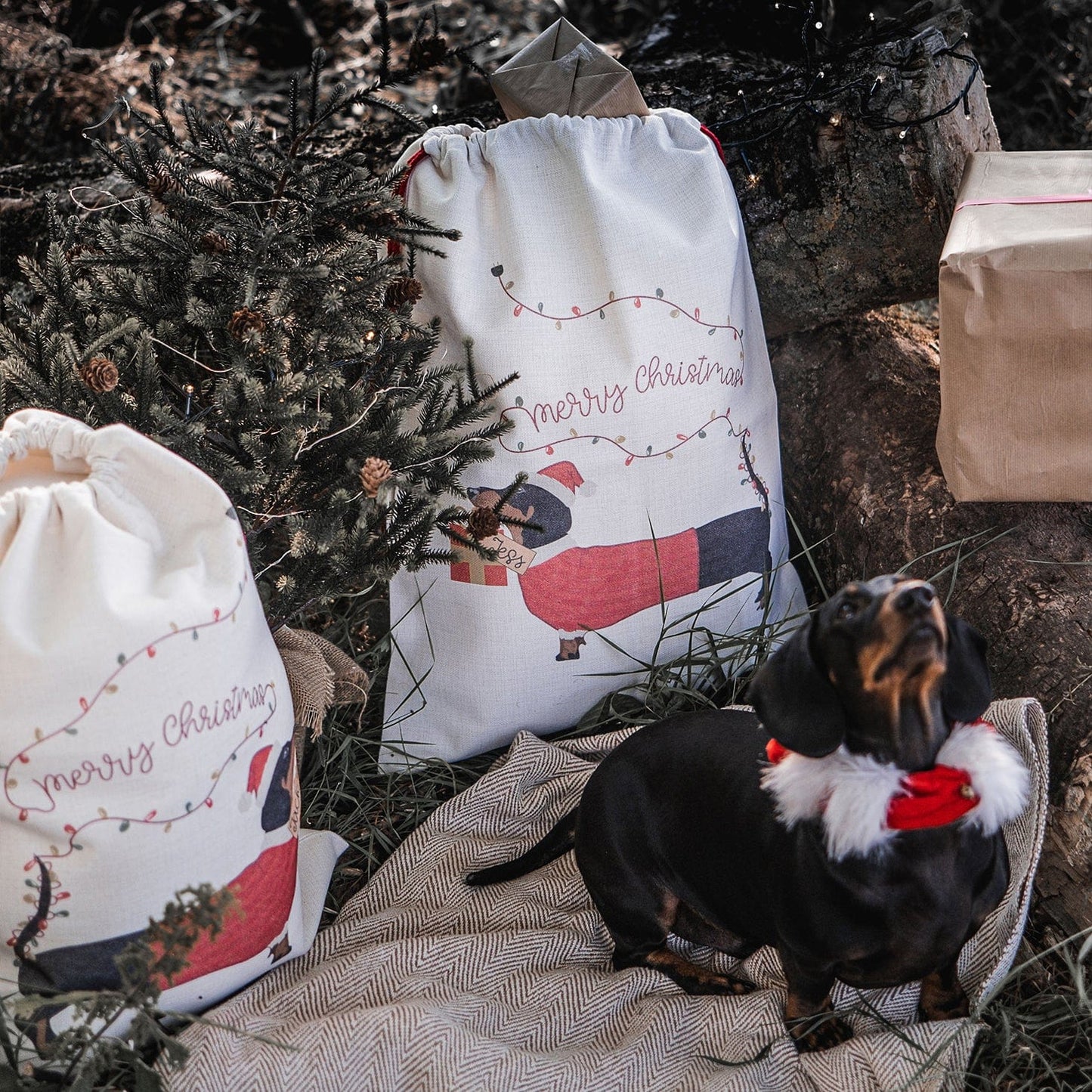 Couples Sausage Dog Set Of Christmas Sacks
