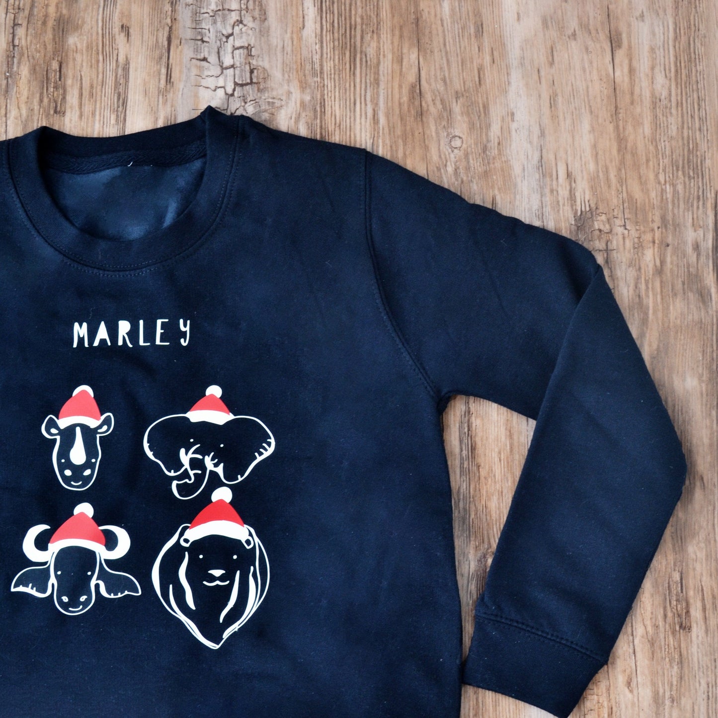 Christmas Children's Safari Jumper