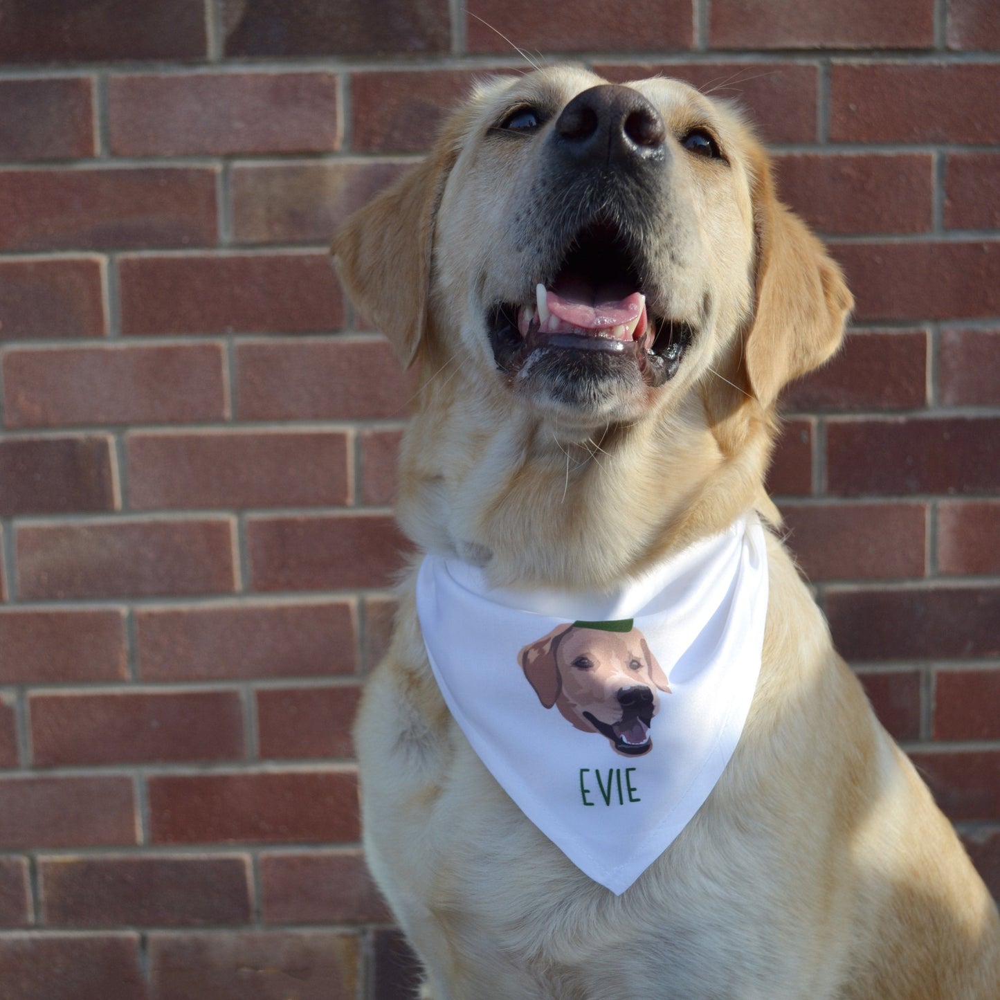 Personalised Christmas Pet Illustration Bandana
