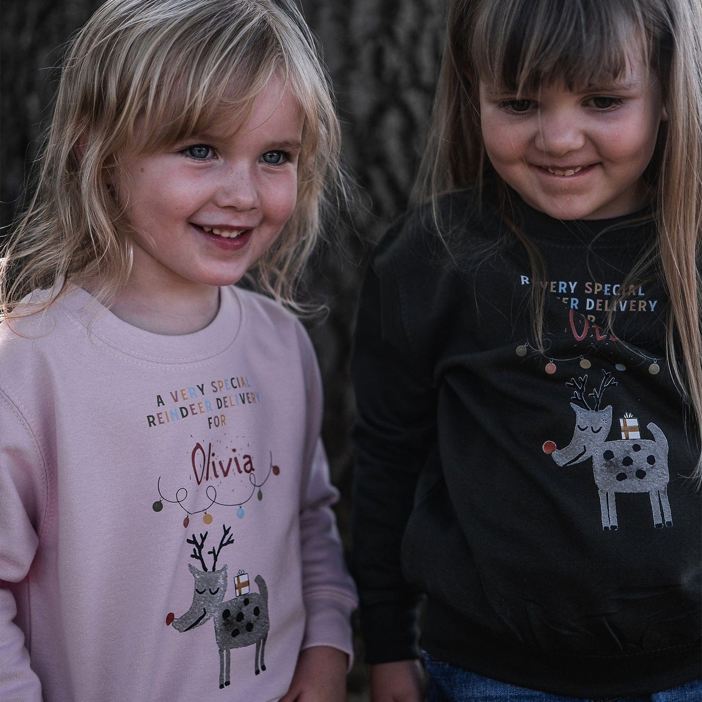 Reindeer Delivery Colourful Jumper