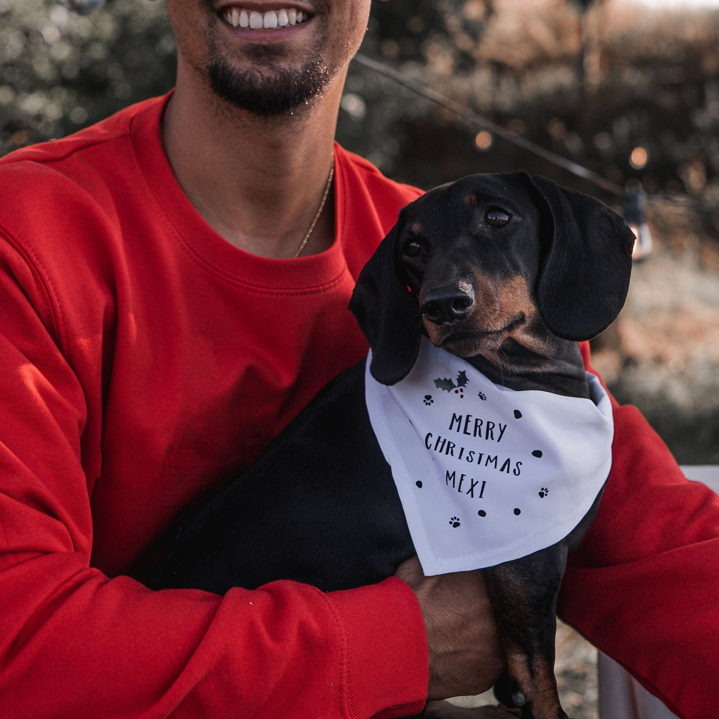 Pets Christmas Personalised Bandana