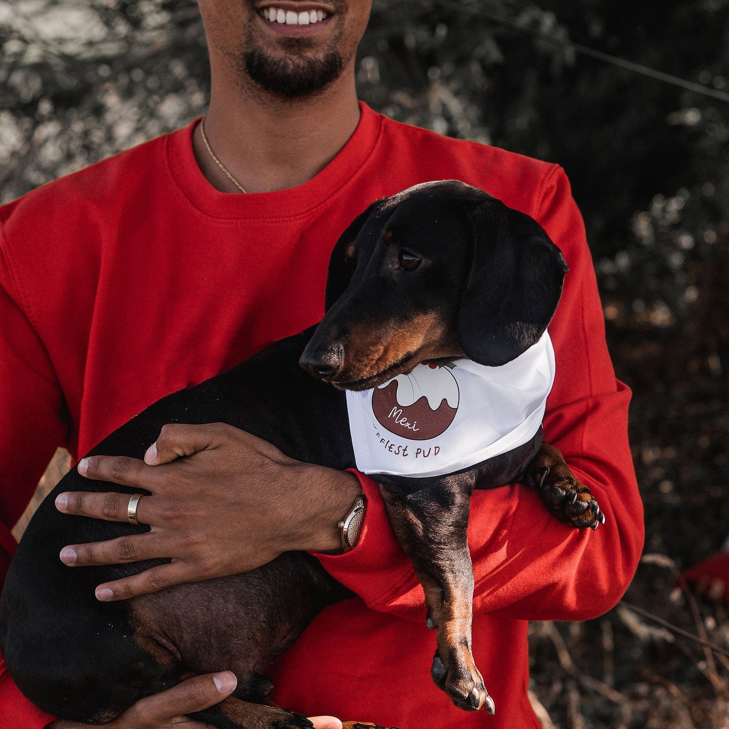Little Pud Personalised Christmas Pet Bandana