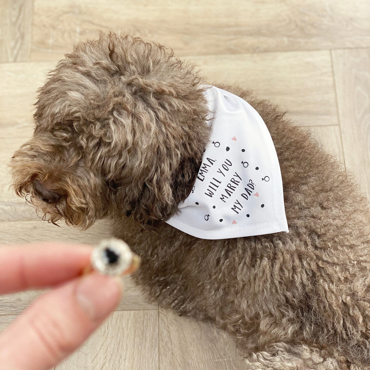Proposal Personalised Dog Bandana