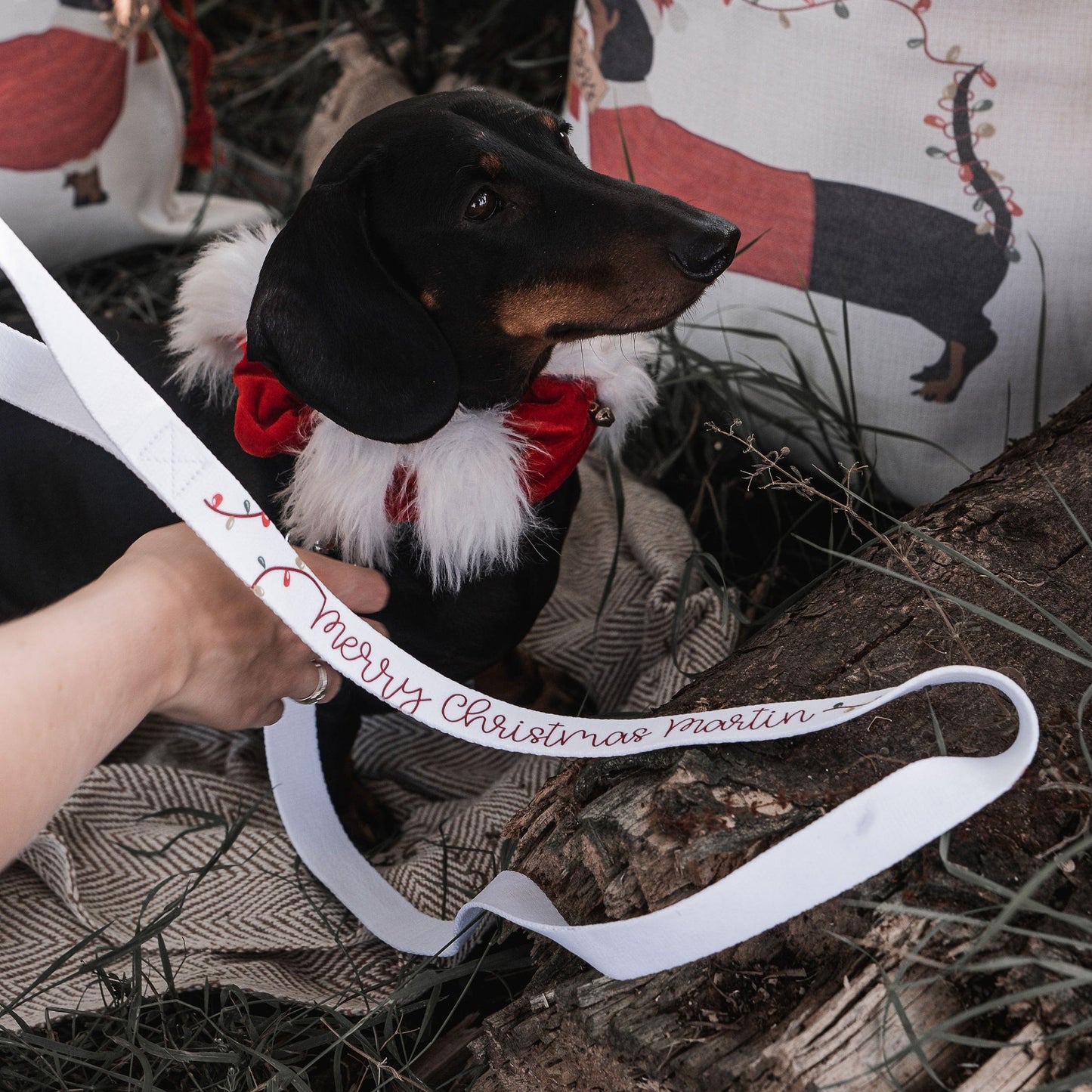Christmas Lights Personalised Dog Lead
