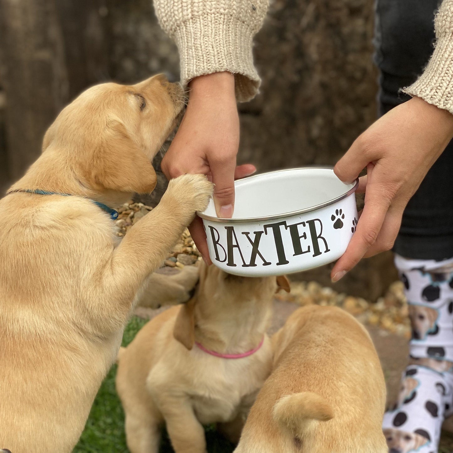 Personalised Paw Print Dog Bowl