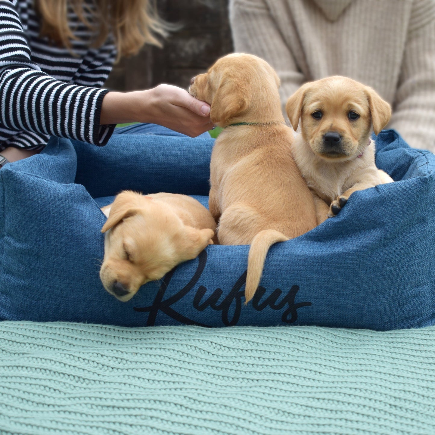 Personalised Script Name Dog Bed