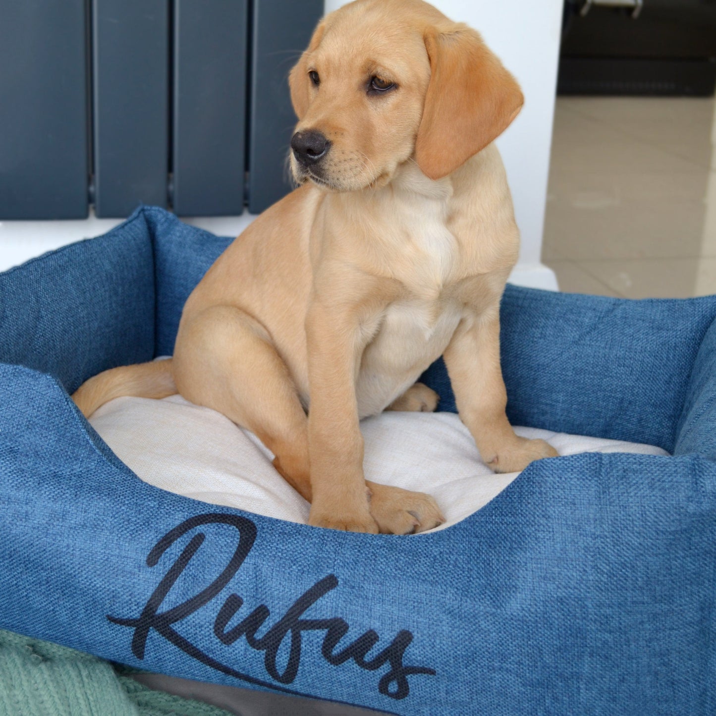 Personalised Script Name Dog Bed