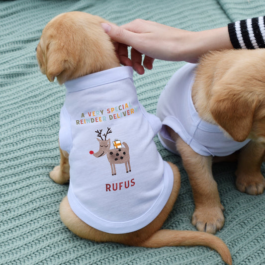 Personalised Special Delivery Dog T-Shirt