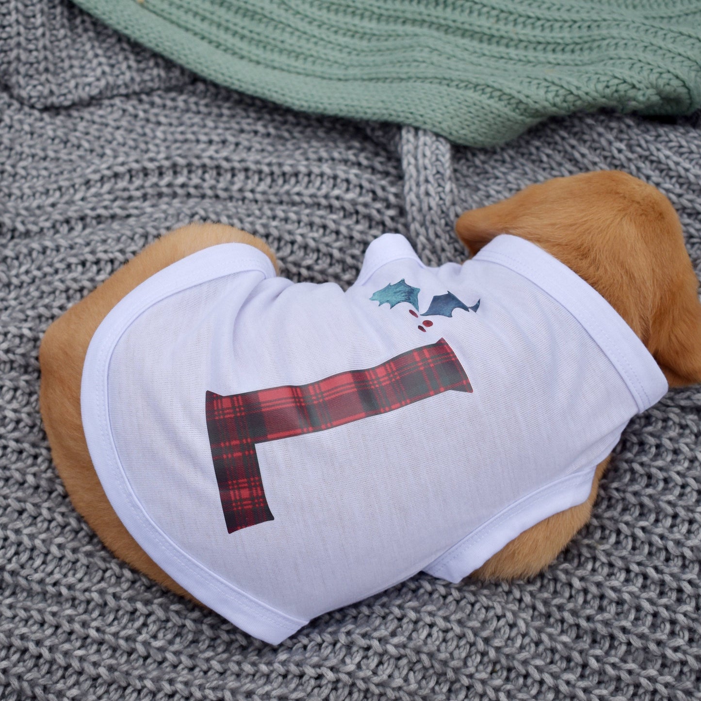 Personalised Christmas Tartan Letter Dog T-Shirt