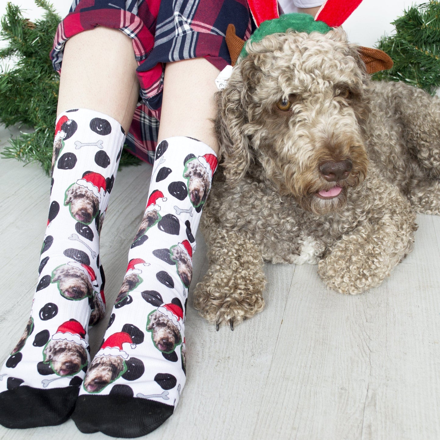 Personalised Christmas Dog Photo Socks, Socks, - ALPHS