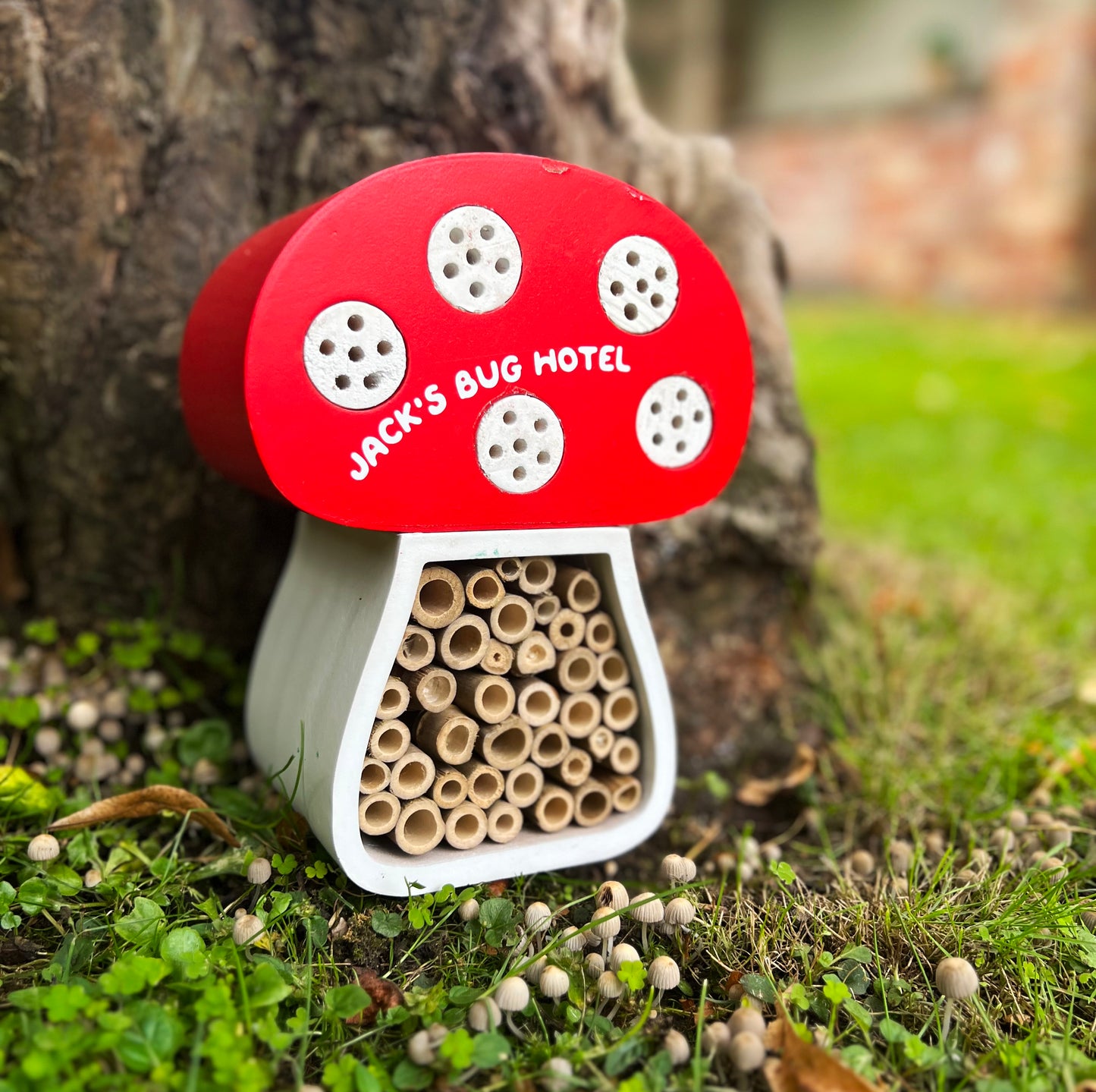 Toadstool Mushroom Personalised Bug House