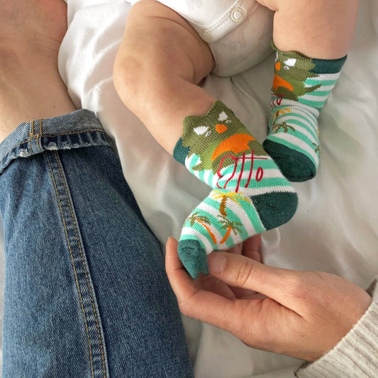 Personalised Baby Dinosaur Socks, socks, - ALPHS 