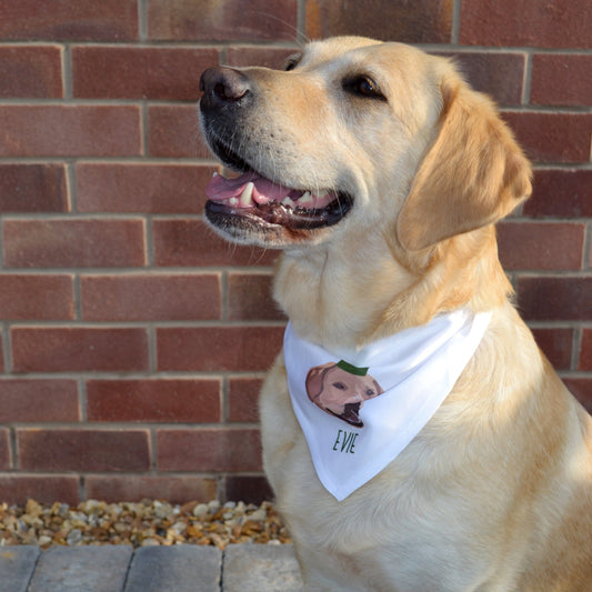 Personalised Christmas Pet Illustration Bandana