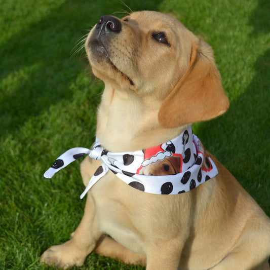 Personalised Christmas Pet Photo Bandana