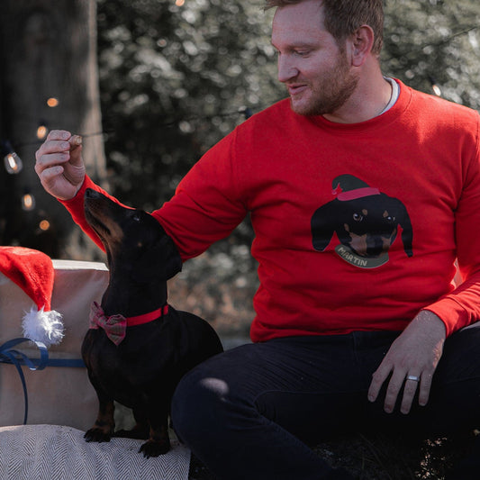 Dog Illustration Christmas Jumper