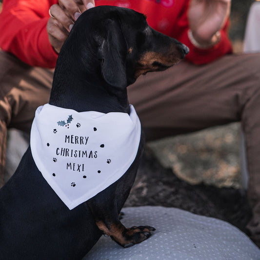 Pets Christmas Personalised Bandana