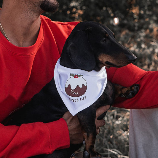 Little Pud Personalised Christmas Pet Bandana