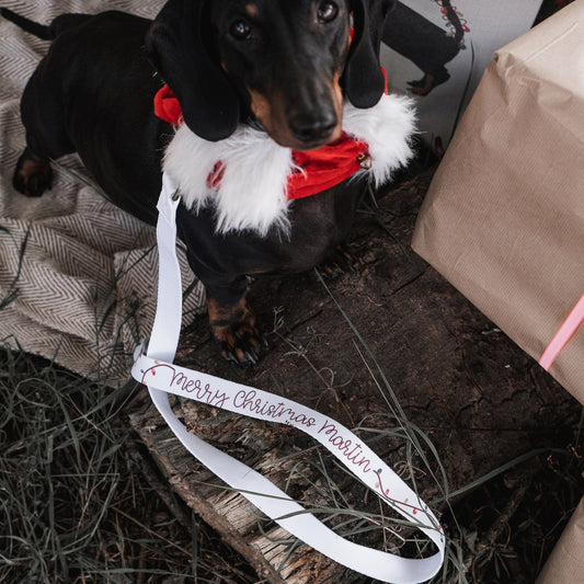 Christmas Lights Personalised Dog Lead