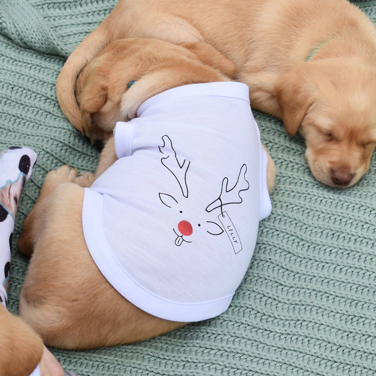 Personalised Reindeer Dog T-Shirt