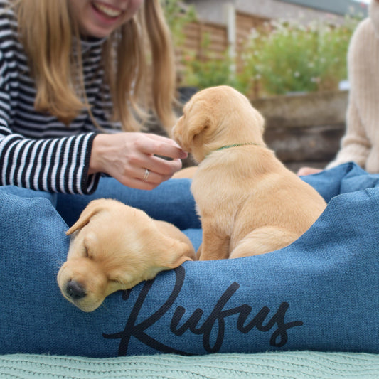Personalised Script Name Dog Bed