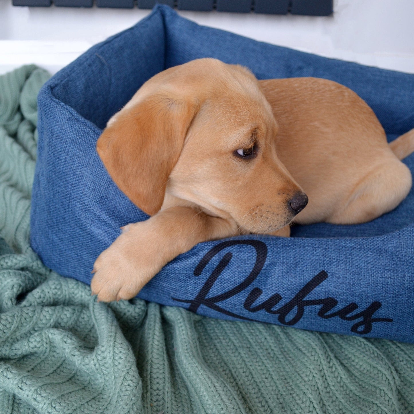 Personalised Script Name Dog Bed